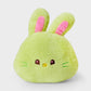 NEW JEANS LINE FRIENDS - BUNINI FACE CUSHION